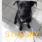 Starsky