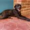 Zarah