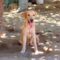 Troy