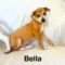 Bella