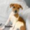 Buster