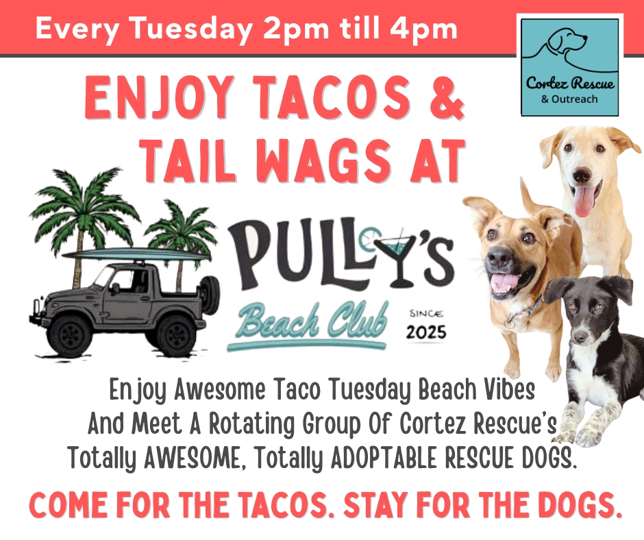 Tacos and Tail Wags at Pully's Beach Club every tuesday