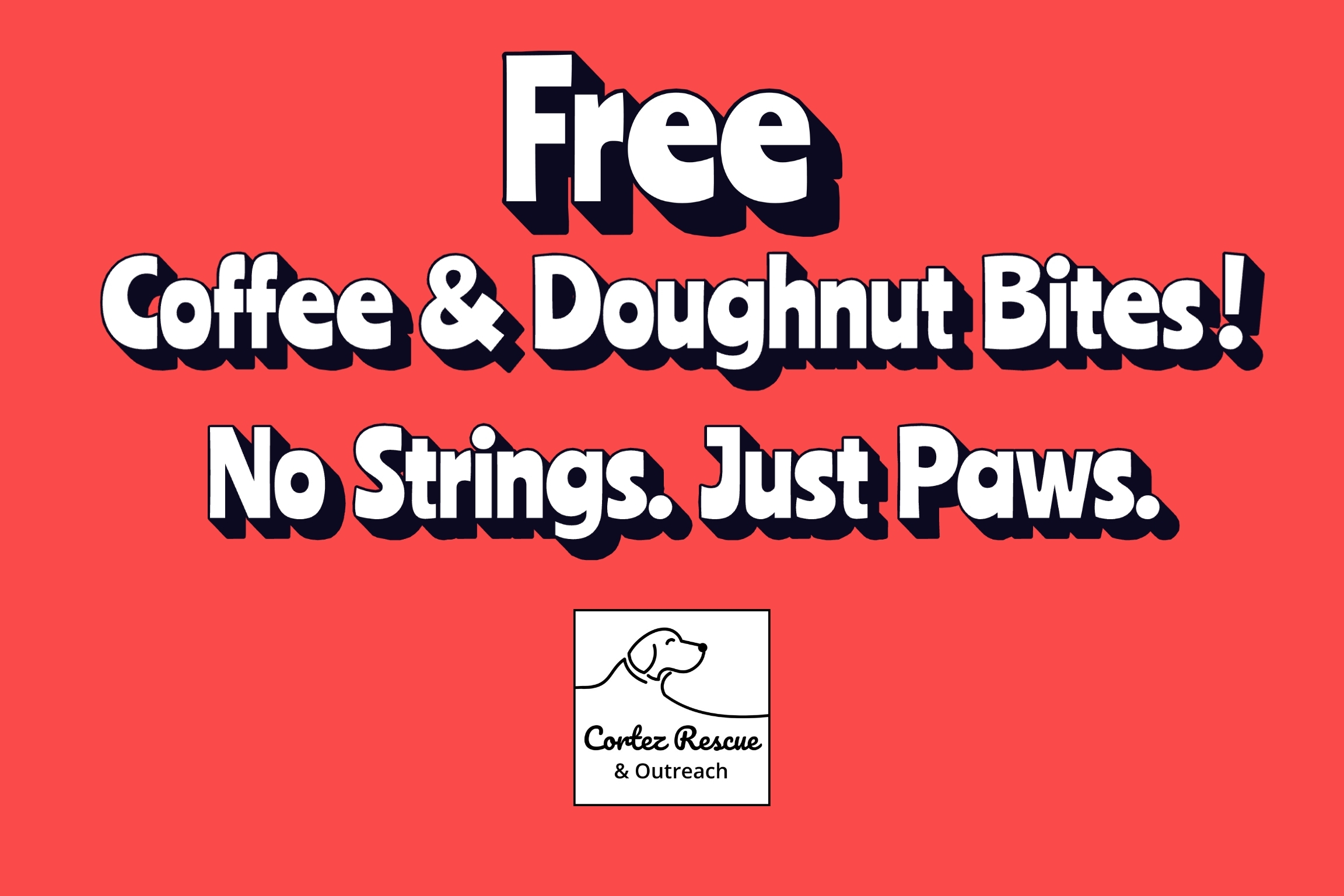 dog rescue in Baja California Sur