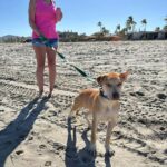 Cortez Rescue 2026 Valentines Pup-Date