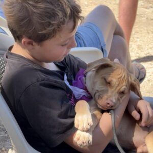 boy holding a tired puppy at Cortez Rescue StreetSide Pup Up
